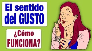 El Sentido del Gusto ¿Cómo Funciona [upl. by Nilyac]