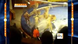 Circus Terror Caught on Tape [upl. by Aihsetel]