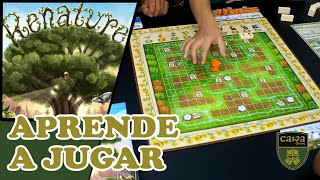 Aprende a Jugar al Renature Un Juego Competitivo y Divertido [upl. by Eixid380]