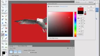 How to Use Layers in Photoshop Elements 12  Part 3  Fill Layers and the Color Picker in PSE 12 [upl. by Nanon]