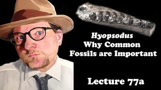 Lecture 77a Hyopsodus Why Common Fossils are Important [upl. by Kinata885]