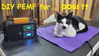 DIY PEMF  Dog Bed [upl. by Wyndham320]