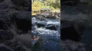 River of us shortsyoutube poem love lovepoem lovepoetry river shorts shortsviral [upl. by Aiclid970]