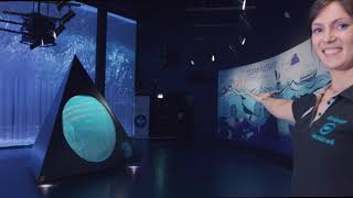 Nausicaa will host the 11th International Aquarium Congress in 2022 [upl. by Nwadrebma]