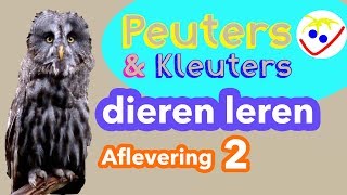 Dierennamen  Eerste Woordjes  Dieren Leren Aflevering 2 Peuters en Kleuters [upl. by Heiskell]