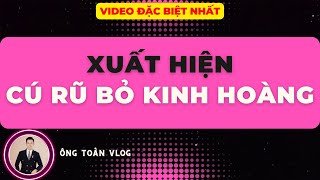 🔴 Chứng khoán hôm nay  Nhận định thị trường  Xuất hiện CÚ RŨ BỎ [upl. by Alana]