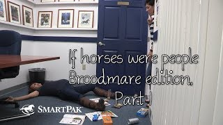 If horses were people  Broodmare edition Part 1 [upl. by Ltihcox79]