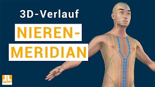 Der Nierenmeridian  3DVerlauf von Punkt zu Punkt [upl. by Nayb]