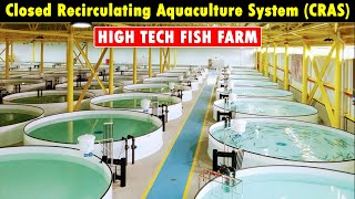 Closed Recirculating Aquaculture System CRAS  RAS Fish Farming  Modern Fish Farming Technology [upl. by Ecirtaeb]