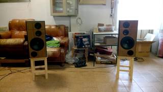 Scanspeak Discovery 3w classic by Troels Gravesen DIY speakers [upl. by Alegnat378]