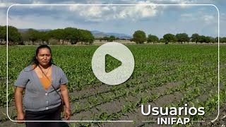 Composta de lixiviados para maíz sorgo avena y agave [upl. by Wilhide]