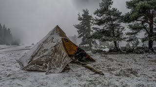 Hot Tent Camping in a Freezing Snowstorm [upl. by Ettelimay908]