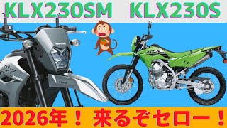 【SEROW】2024年新型KLX230 amp スーパーモタードが復活！なぬ！セローも復活？！【KLX230】 [upl. by Iarised]