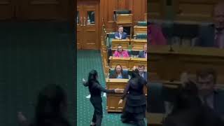 NZ Parliament interrupted by Haka as treaty bill is debated [upl. by Sabrina562]