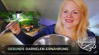 DIYFutter amp Industrieprodukte für Garnelen – Was ist wirklich sinnvoll 🌿🥫🏭🦐🤔  Aquarinas Erfahrung [upl. by Nerehs]