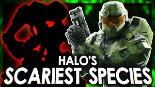 The Scariest Species in Halo lore Worse Than The Flood [upl. by Stilu]