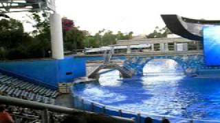 Believe  SeaWorld  Orlando  Killer Whale Tilikum Shamu [upl. by Dayir]