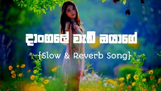 DANGALE WADI OYAGE දාංගලේ වැඩී ඔයාගේ Slow amp Reverb SongSinhala Song [upl. by Calmas]