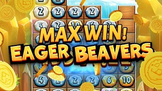 MAX WIN on Eager Beavers [upl. by Lyrrehs]