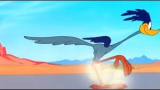 Roadrunner Cartoon [upl. by Anihpesoj]