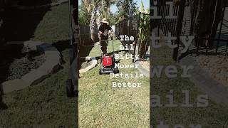 String Trimmer VS 21 inch mulching mower [upl. by Enelrad]