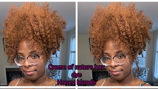 Creme of Nature Box Dye  Honey Blonde DIY [upl. by Summer282]