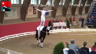 CVI Bern 2018 [upl. by Nabalas488]