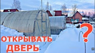 Теплица зимой ОТКРЫВАТЬ ДВЕРЬ ЗАБРАСЫВАТЬ СНЕГ [upl. by Yolande]