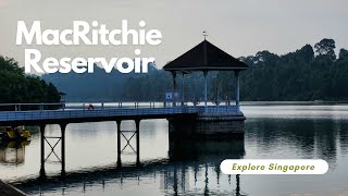 MacRitchie Reservoir  Explore Singapore  DJI Osmo Action 5 Pro video djiaction5pro [upl. by Aicatsanna]