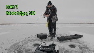 Ice Fishing Day 1  Mobridge SD  Annual WALLEYE Tournament [upl. by Iaw]