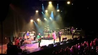 Showaddywaddy  Brighton 2014 [upl. by Pendleton280]