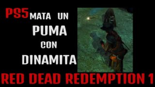 RDR1 MATA UN PUMA CON DINAMITA PS5 GUÍA  tutorial 2023 [upl. by Madian183]