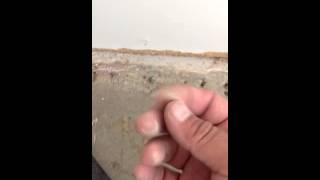 Water Damage beneath laminate flooring [upl. by Neyr236]