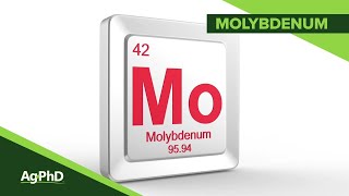 Molybdenum 1083 Air Date 1619 [upl. by Japha]