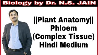 Complex Tissue Phloem Plant Anatomy Class 11th In Hindi [upl. by Ahsinar]