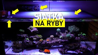 DIY🛠️ Siatka na Ryby 🐟🐠🐡  po taniości 😮 [upl. by Aiceled]