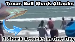 3 Texas Shark Attacks in One Day Bull Shark 2024 Padre Island Tabitha Sullivant [upl. by Frulla]