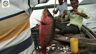 Fishing Adventure with My Family  Andaman and Nicobar Islands andaman vlog fishing adventure [upl. by Awuhsoj]