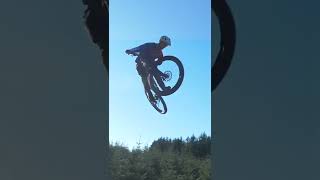 Shredding A Hardtail At A Bikepark shorts [upl. by Enialedam]