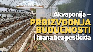 Akvaponija – proizvodnja budućnosti i hrana bez pesticida [upl. by Pollerd]