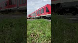 S 23 nach Euskirchen Bonn deutschebahn sbahn [upl. by Marabelle820]