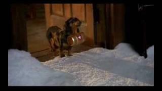 Dachshund Mighty Dog Commercial [upl. by Sidwell]