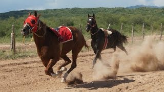 Carreras de Caballos en Opodepe 13 de Agosto 2017 [upl. by Verine]