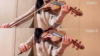 호만 No105 Hohmann Practical Violin Schule No106 [upl. by Aivan]