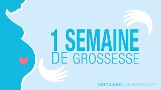 1 semaine de grossesse  Semaine 1 de grossesse  La grossesse semaine par semaine [upl. by Yrok]