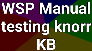 WSP system Knorr bremse manual testing [upl. by Eilojne328]