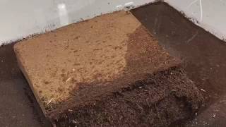 Viagrow Coconut Coir Premium Soilless Grow Media [upl. by Eelrebmik]