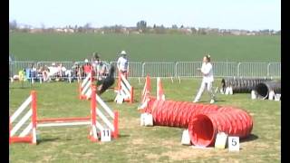 Agility Bouvier Bernois Championnat de Lorraine 2007 [upl. by Tedmund]