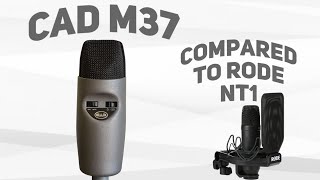 CAD M37 Condenser Microphone Review  Demo amp Comparison to Rode NT1 [upl. by Narak]