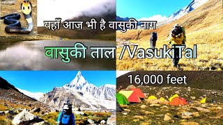 Vasuki Tal Trek GangotriGomukhTapovan Nandanvan 30km From Gangotri Unbelievable 16000 Feet Tall [upl. by Shornick]